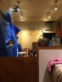 9796B341-BD02-4764-A0BA-DEB6183B4B69.jpeg